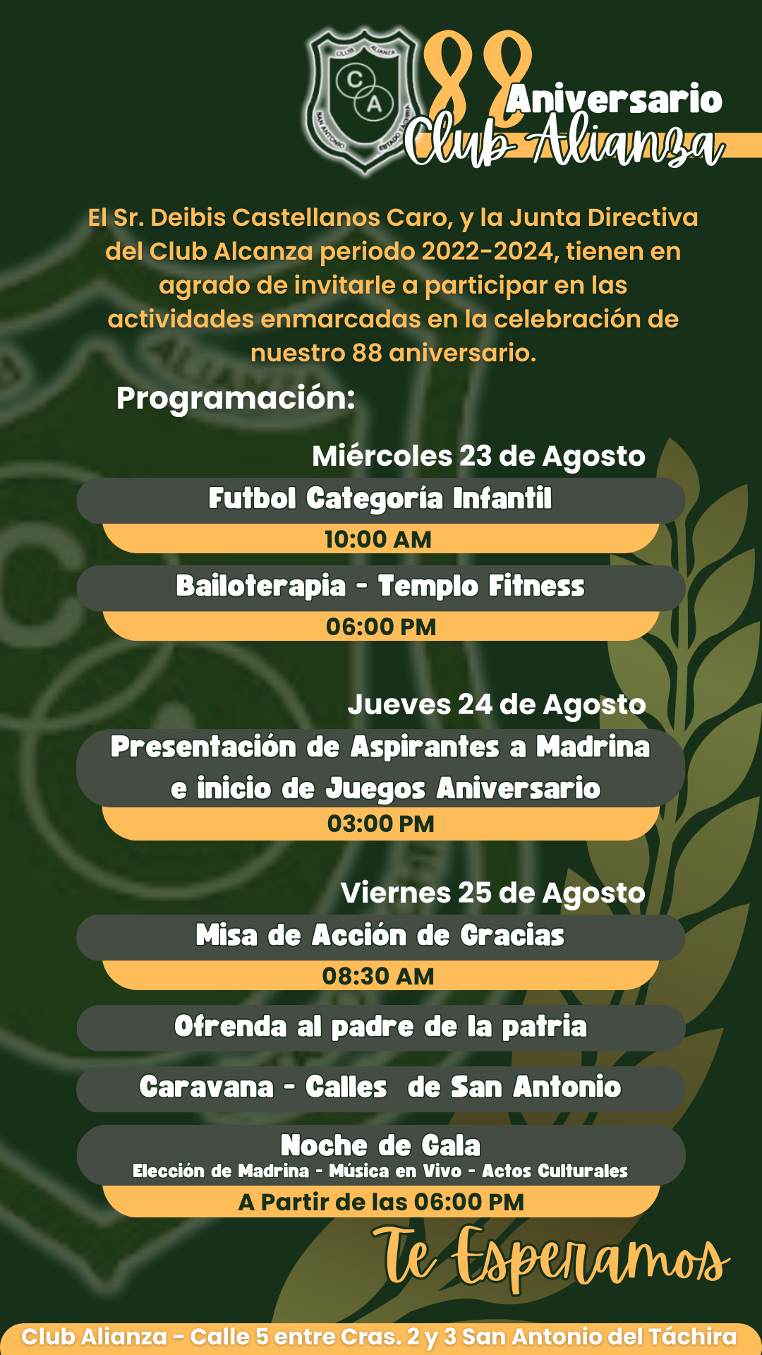 Historia de instagram Feria de las flores Medellin floreado morado_20230822_194939_0000